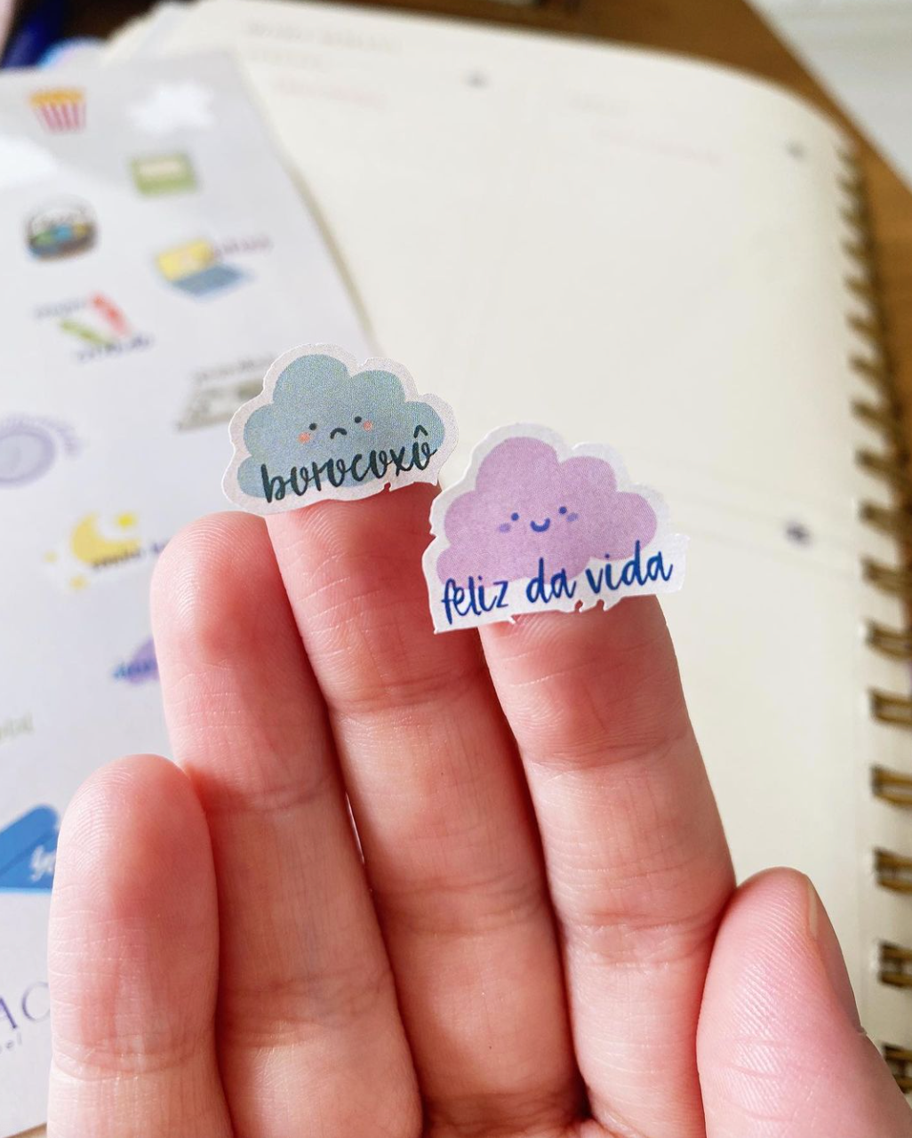 Como organizar os seus adesivos